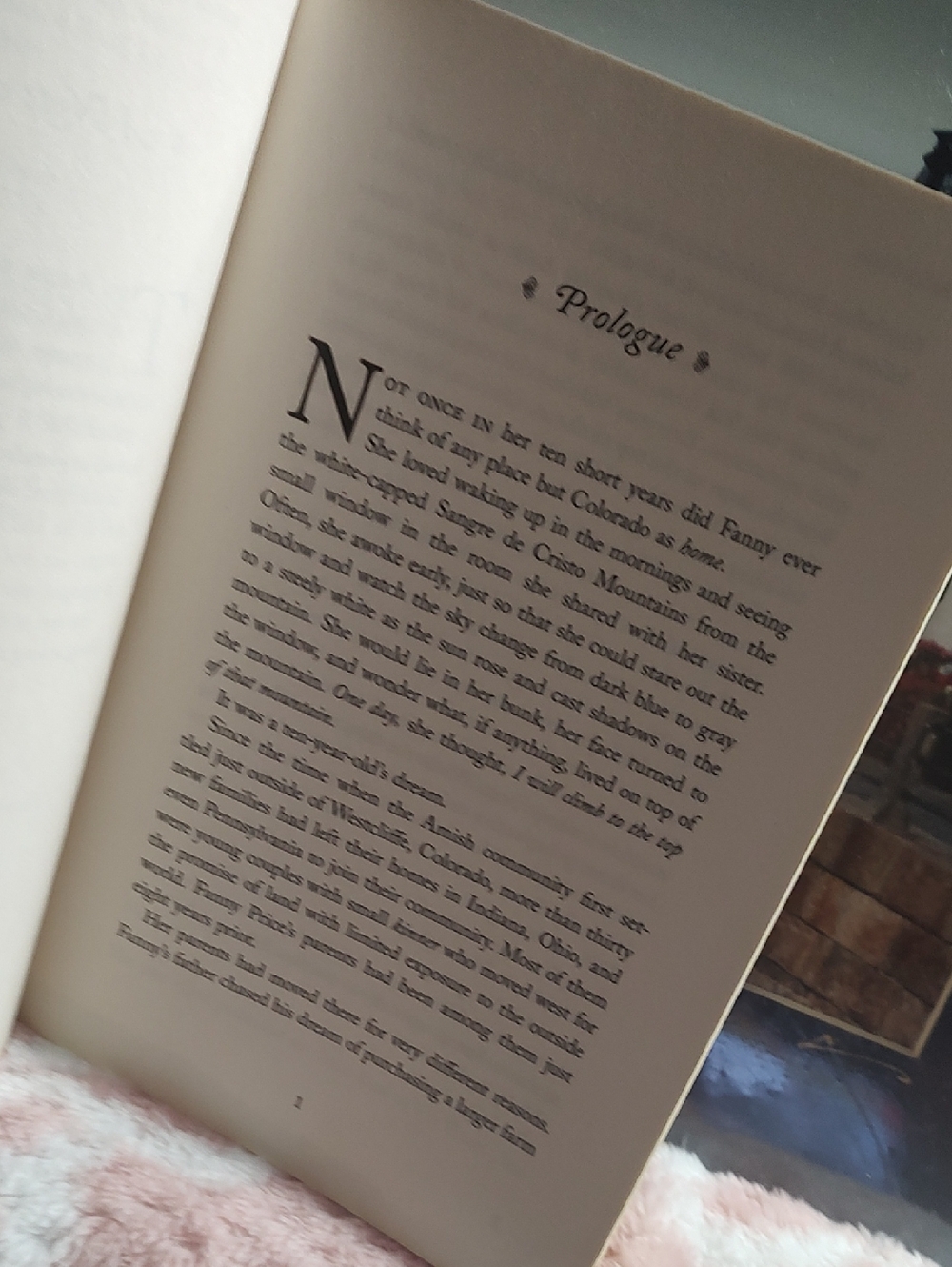 Mount Hope by Sarah Price - 📚/2016 - Picture 6 of 7